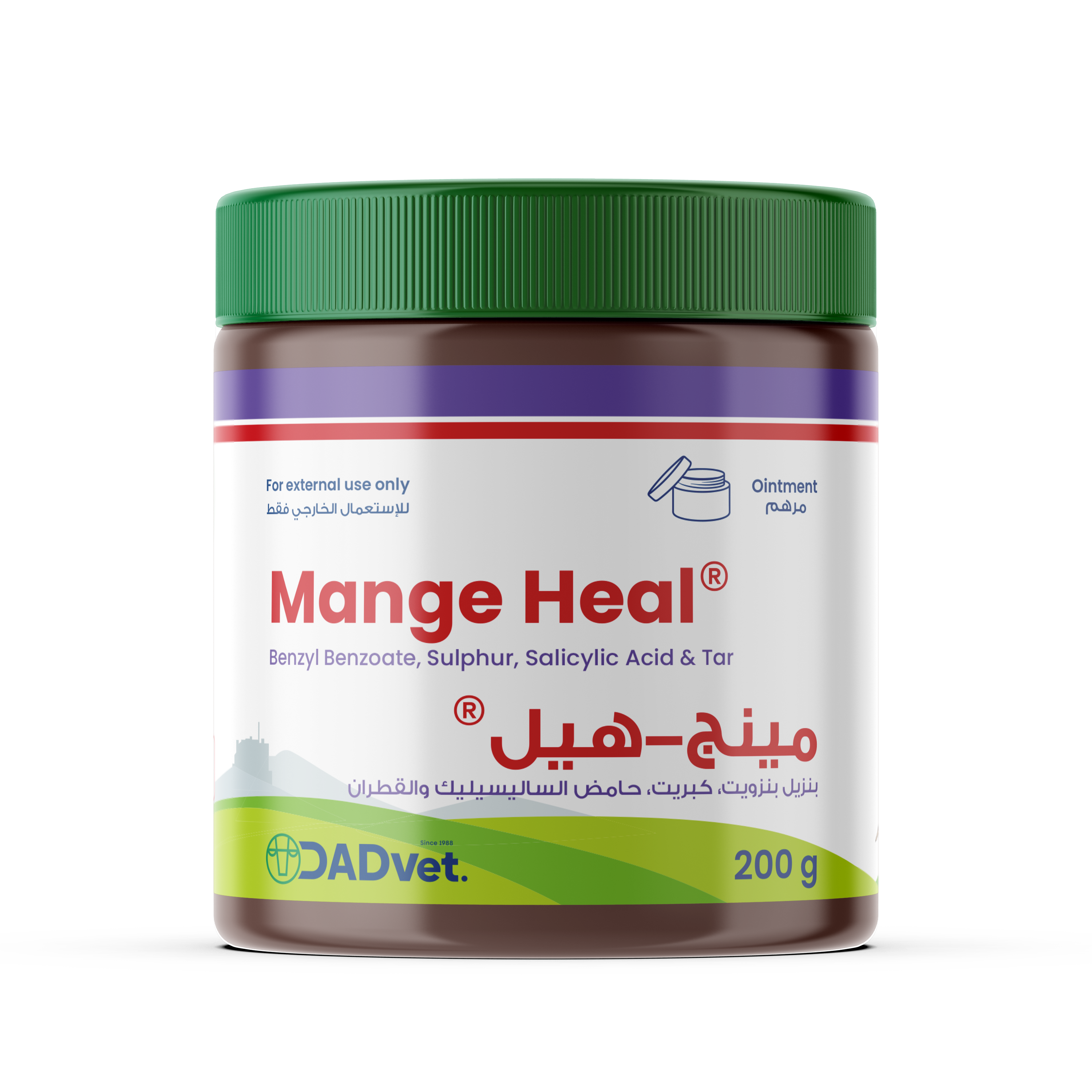 MangeHeal-MOCKUP.png
